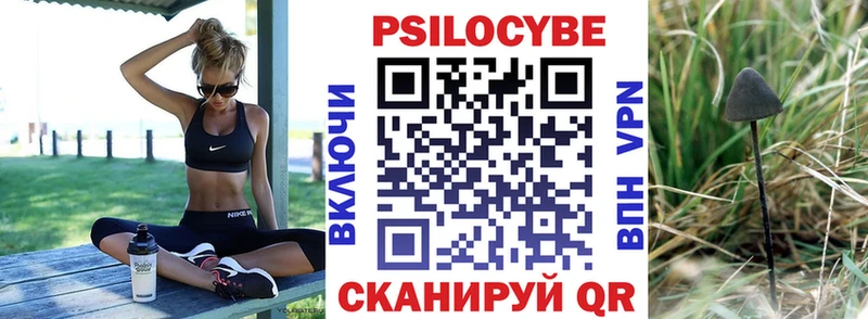 наркота  Осинники  Галлюциногенные грибы ЛСД 