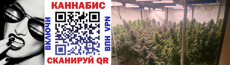 Бошки Шишки AK-47 MEGA ТОР Осинники
